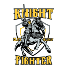 knight fighter
